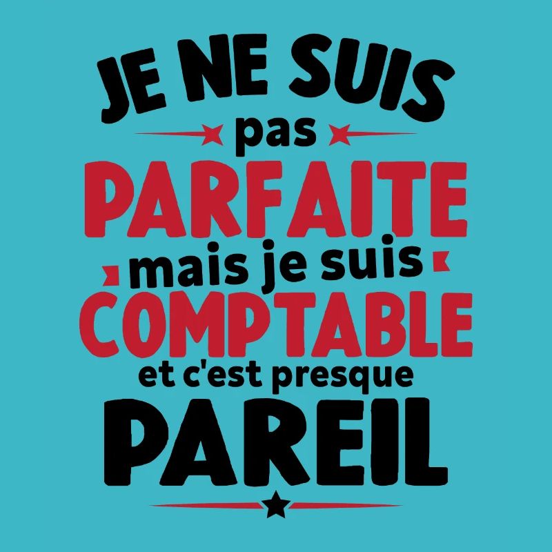 Pas parfaite mais je suis comptable humour cadeau