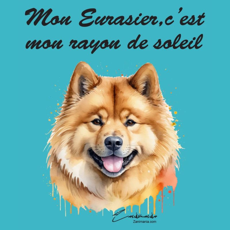 Eurasier rayon de soleil