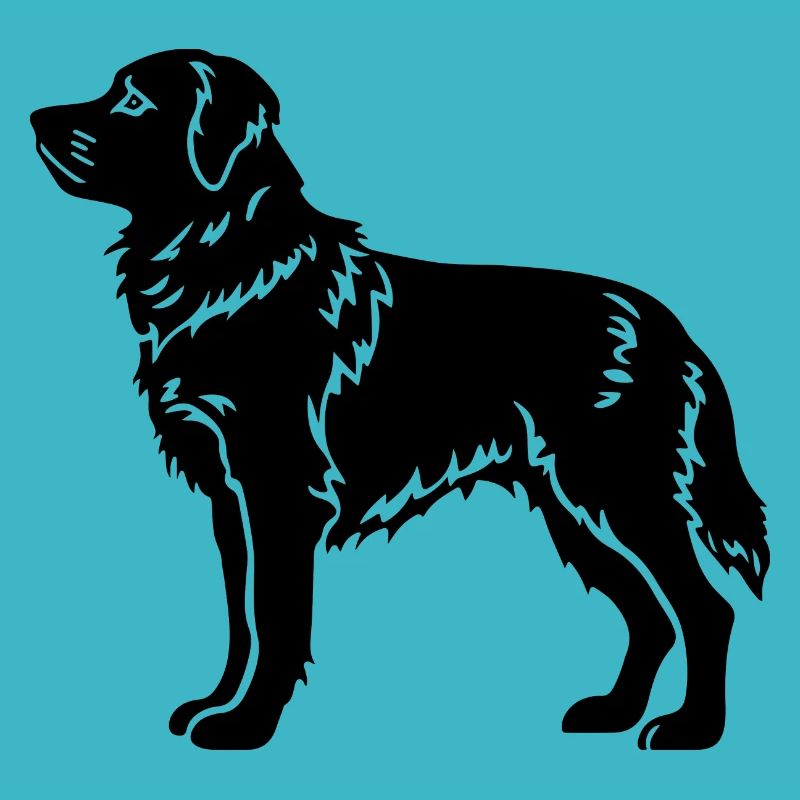 Chien samoyède