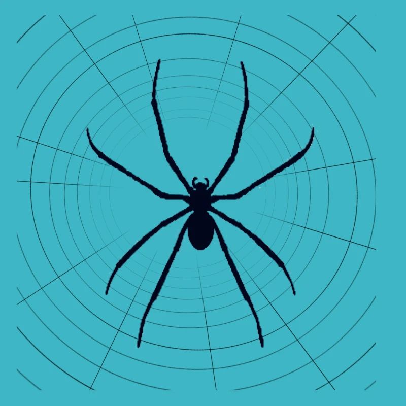 Spider Spider Boys Pull