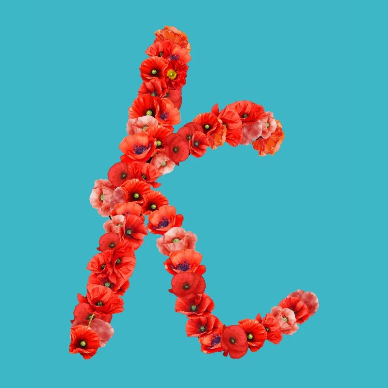 Initial K aus Mohnblumen
