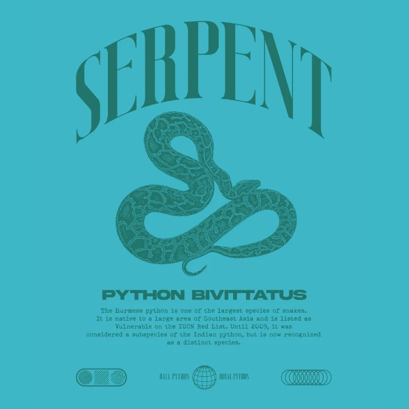 Burmese Python Modern Reptile Keeper Streetwear