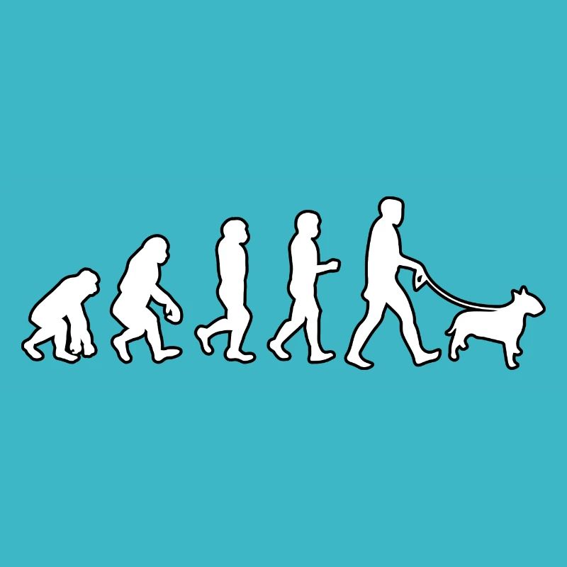 EVOLUTION Labrador