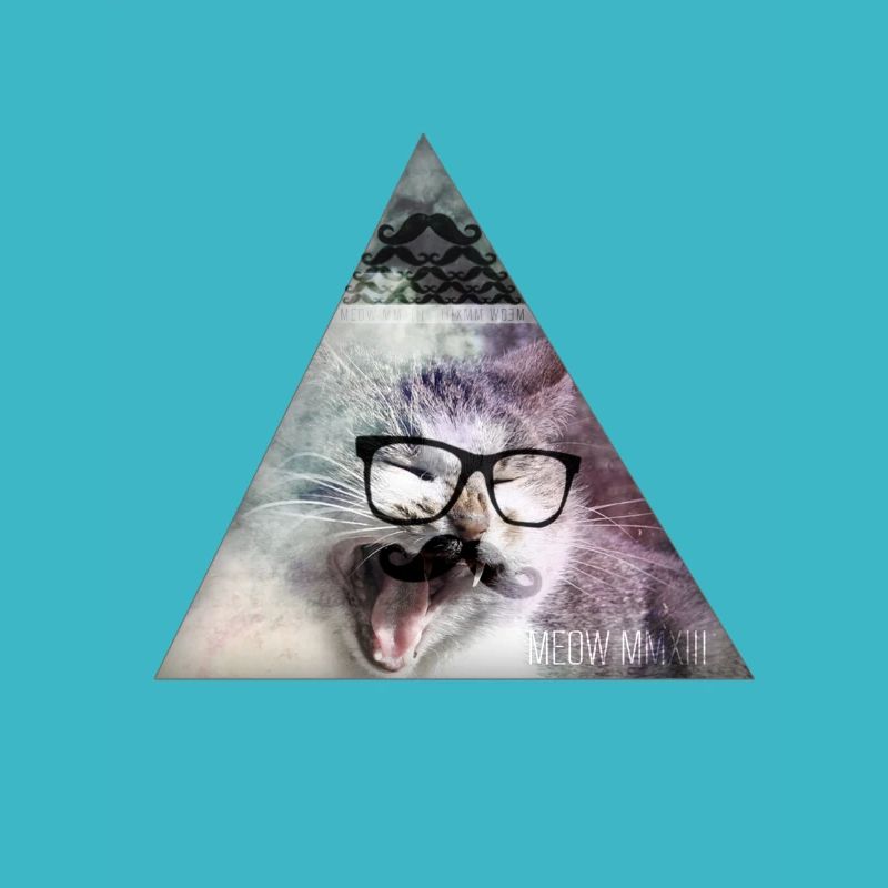 hipster moustache triangle cat swag style