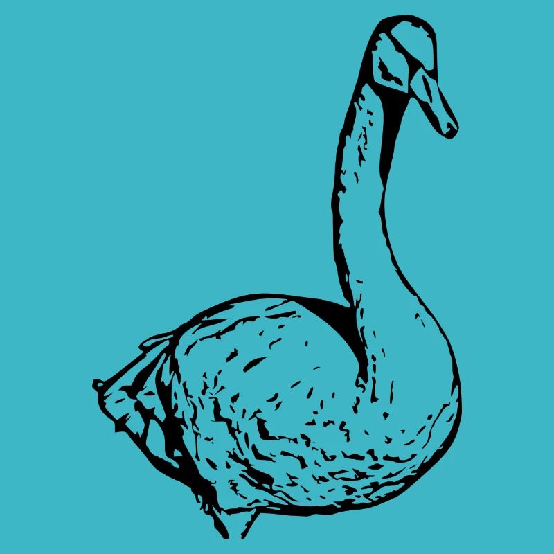 Swan Black Duck Bird Goose