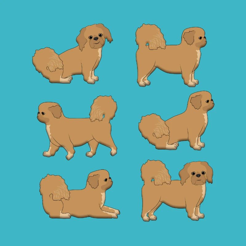Pekinese selection