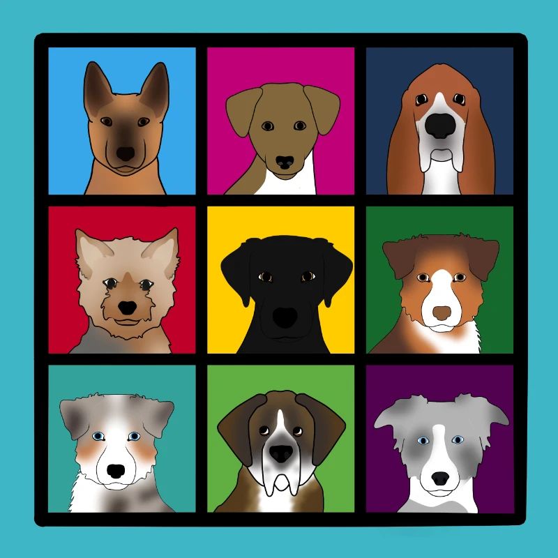 nouveaux chiens de 3 x 3