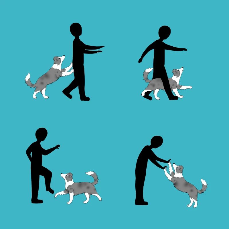 Vier Bilder Pixel dog dancing Border Collie