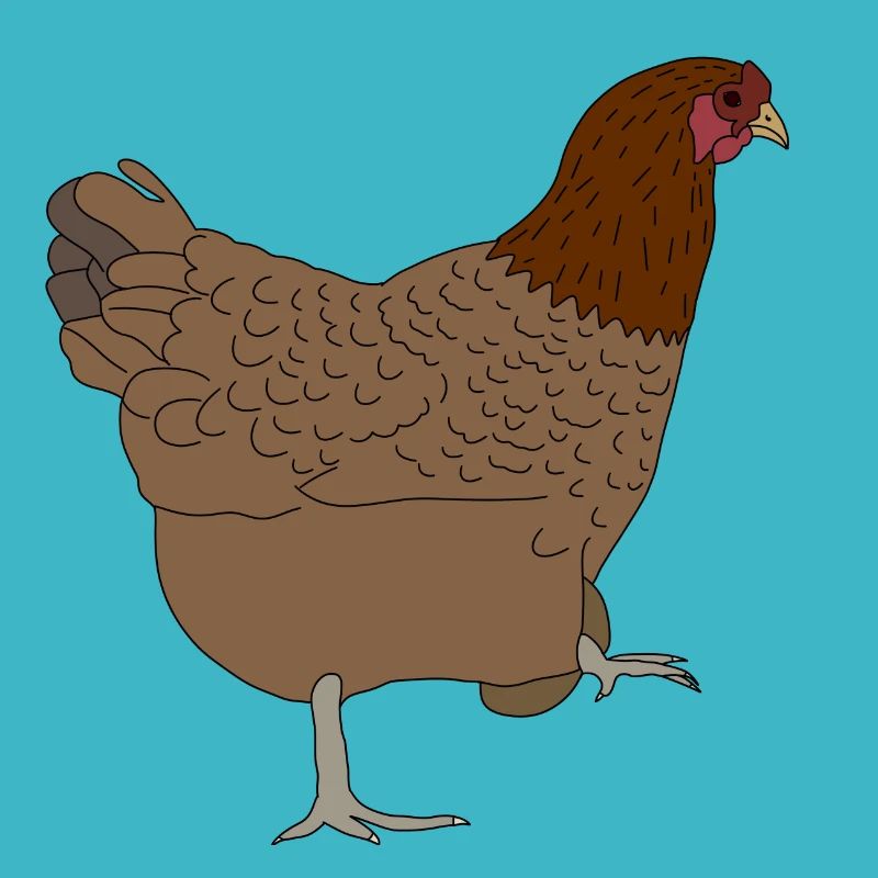 Poulet