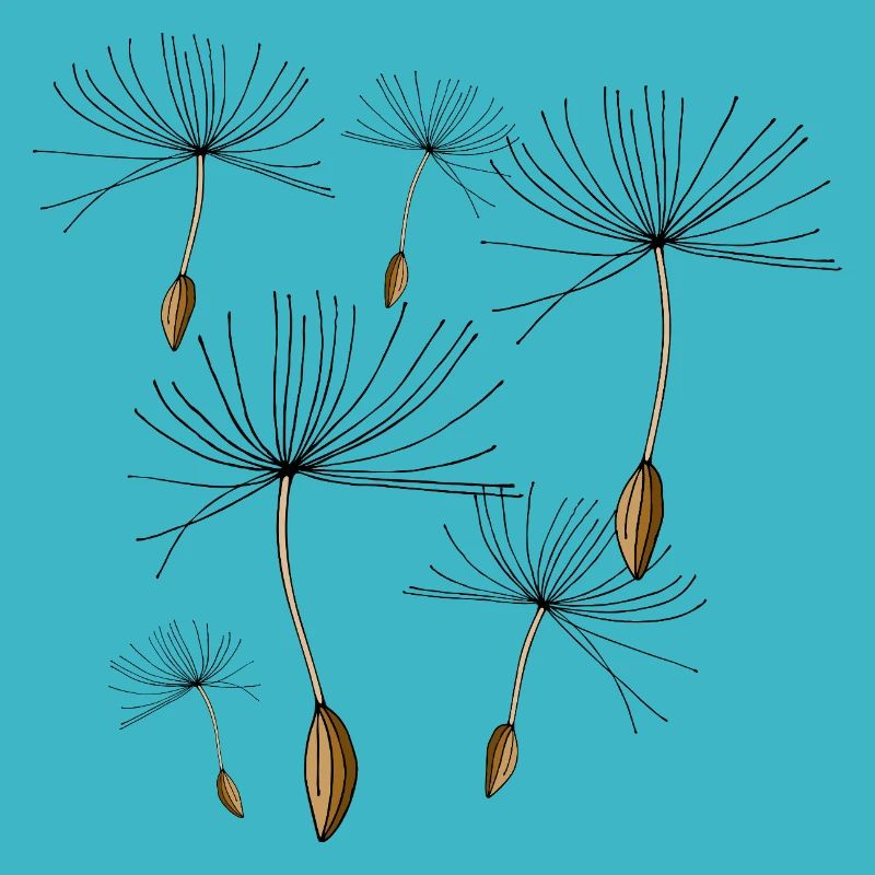 Dandelions