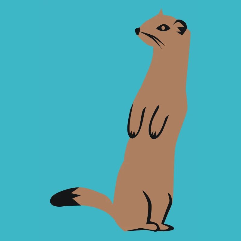 Weasel - Ermine