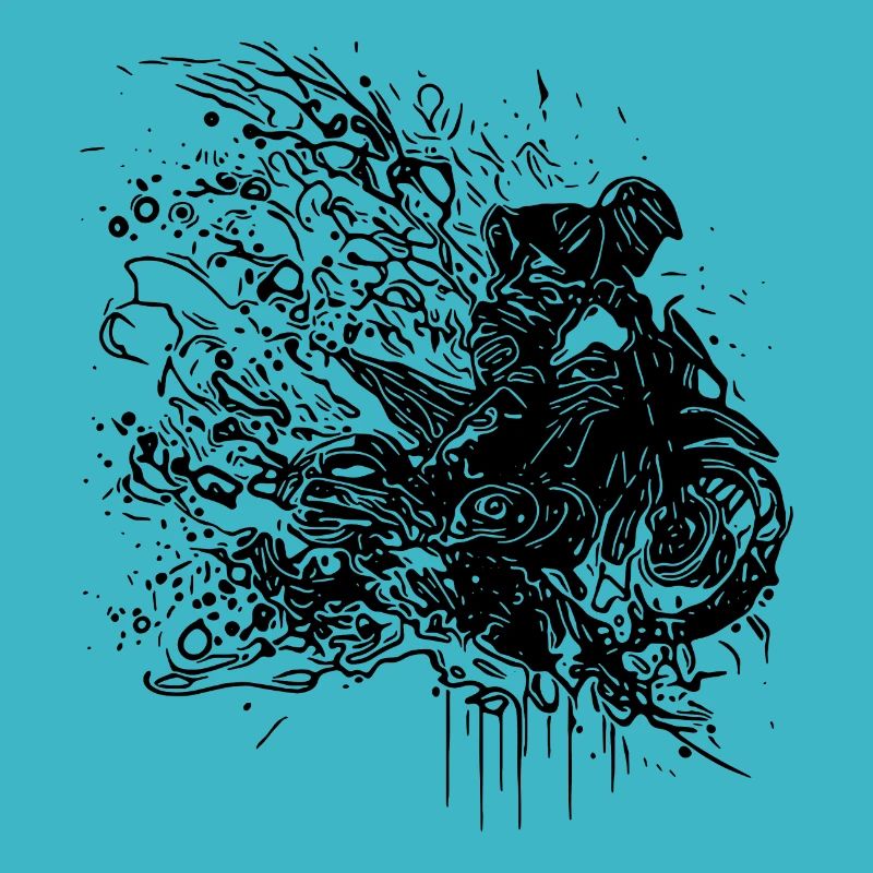 Rennsport Motorrad Splash Style