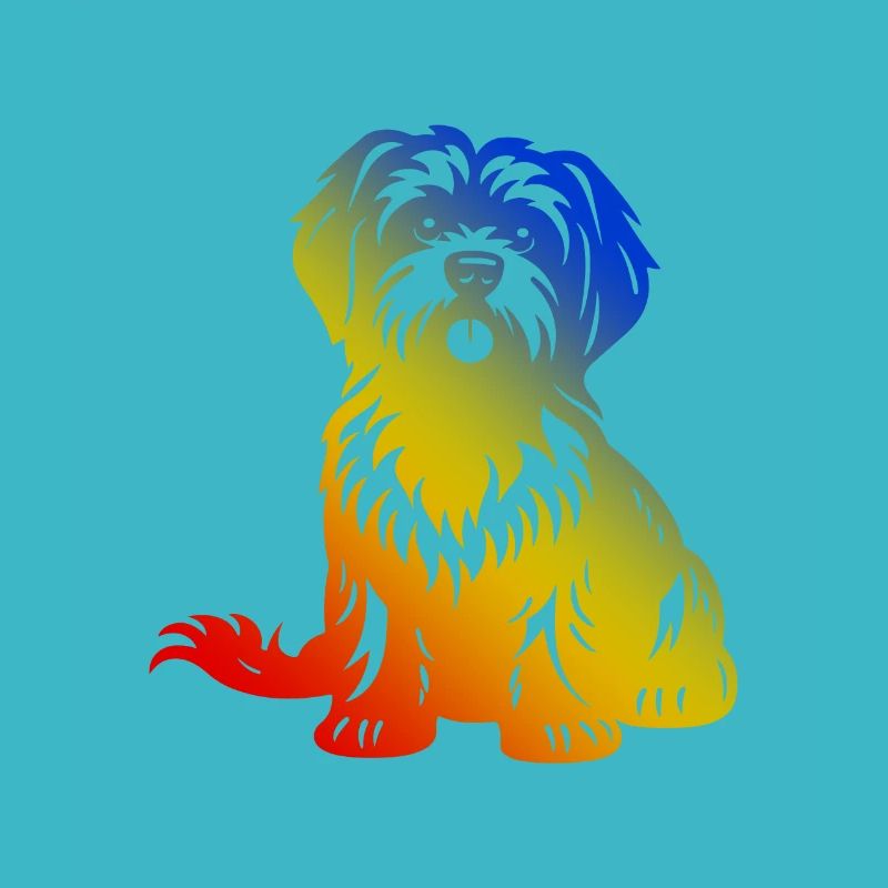 Havanese Dog