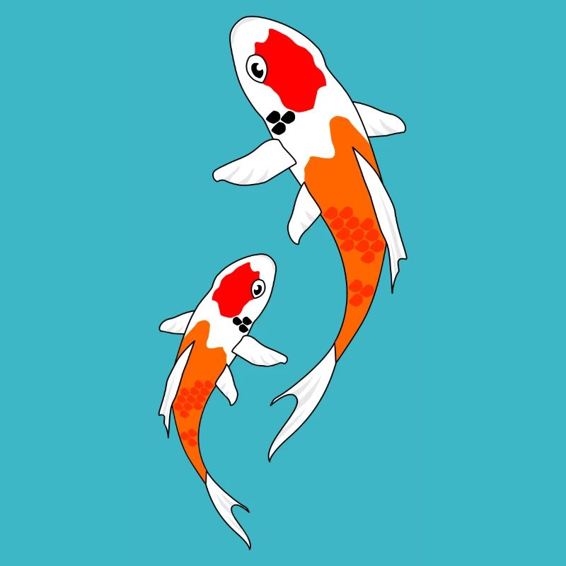 Koi orange