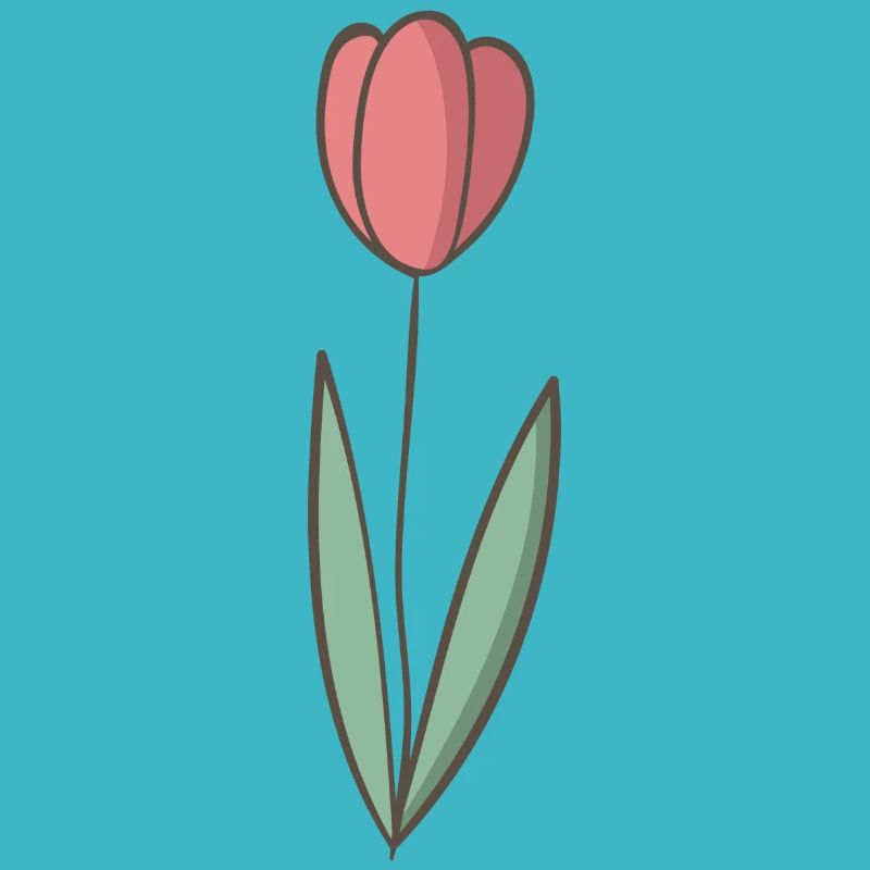 tulipe