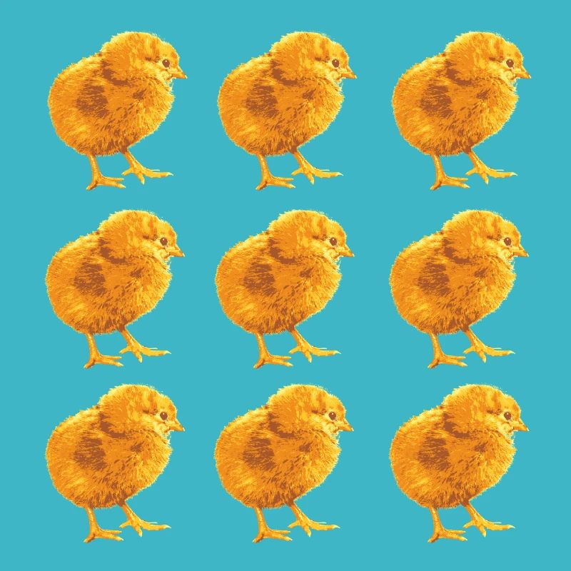 Fans de poulets - - Coq - Poussins