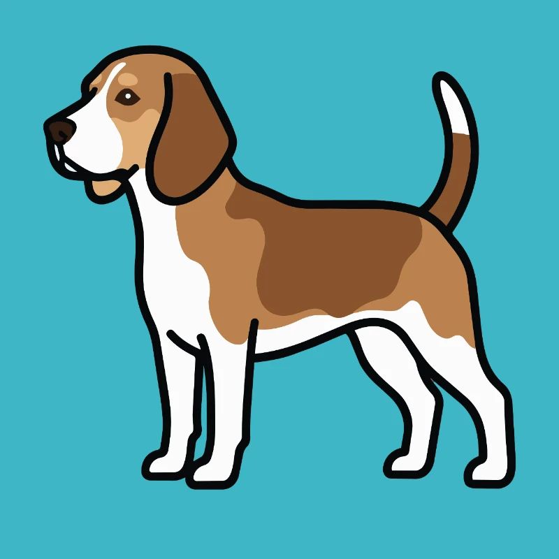 Le chien beagle