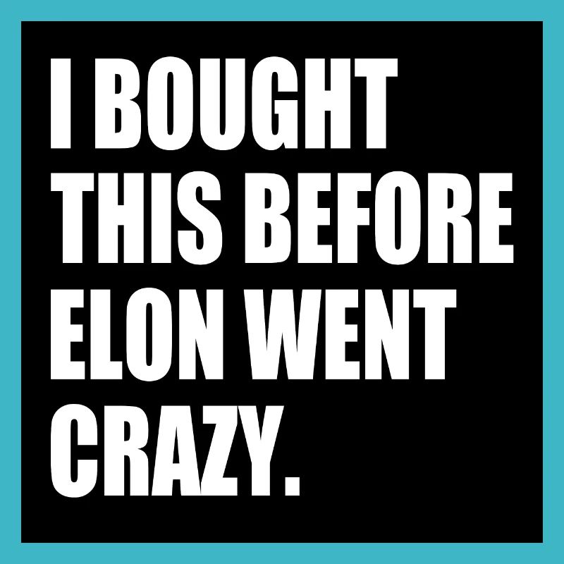 i bought this before elon went crazy