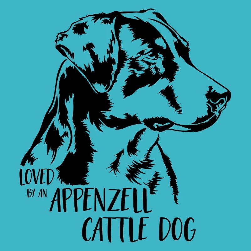 Loved by an Appenzell Cattle Dog Hunde Wilsigns