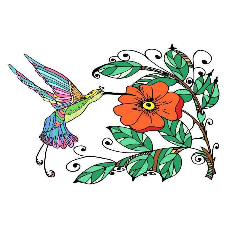 Oiseau coloré