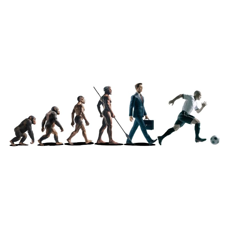 Evolution Fussball Zeichenfläche 1