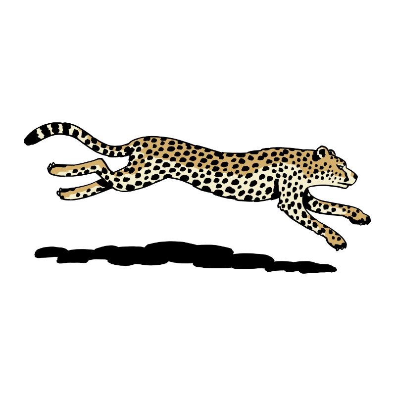 Gepard