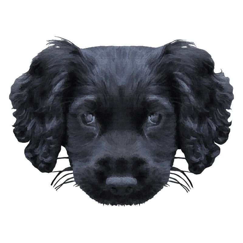 weihnachtsgeschenke für jedermann, Cocker spaniel