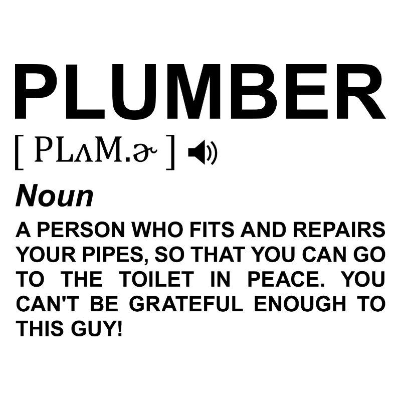 Plumber Meaning