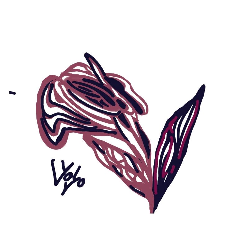 Rose1