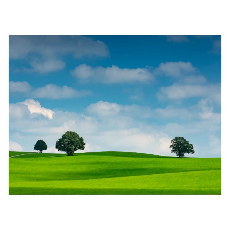 Calming landscape