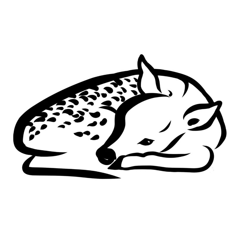 Fawn lying down