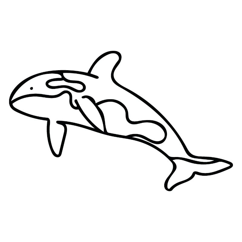 Killerwal - Orca