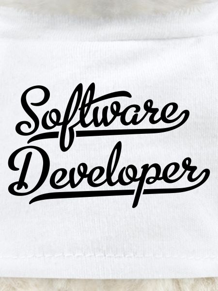 Software Developer