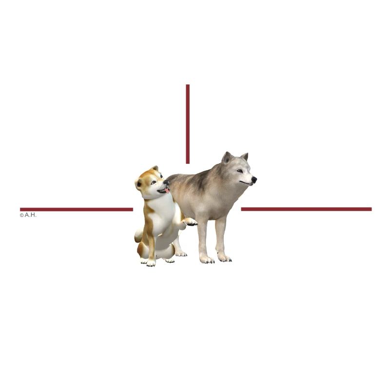 Duo dogs in red frame
