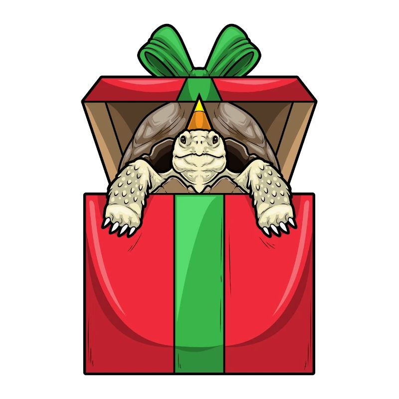 Turtle Birthday Package