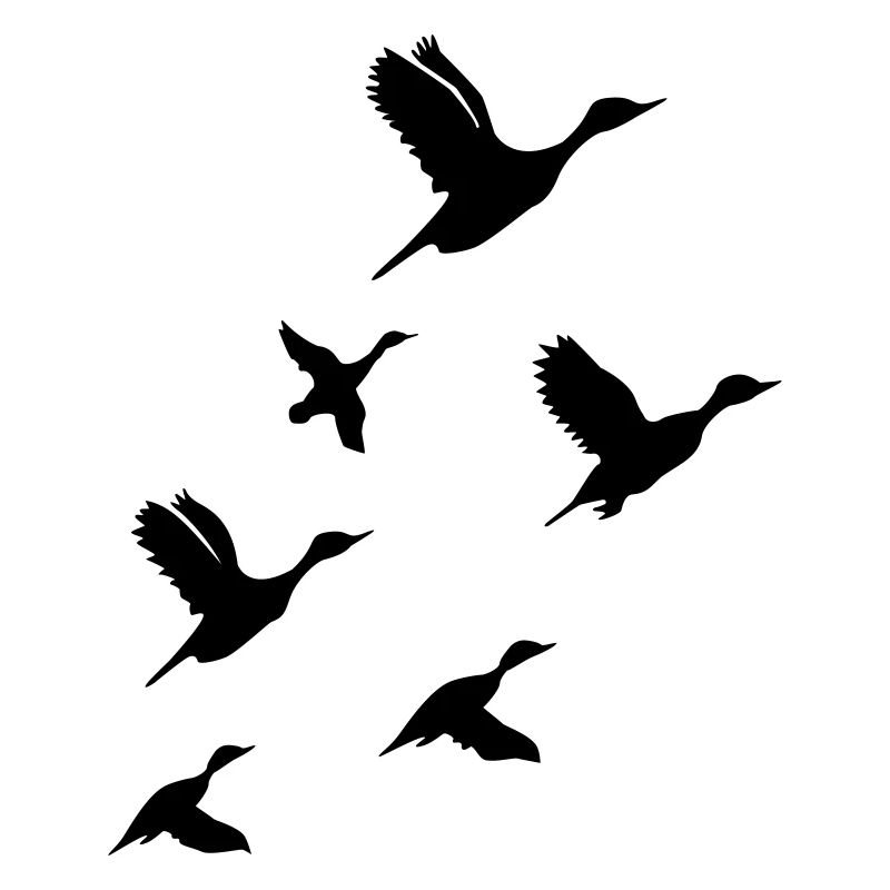 Flying Ducks