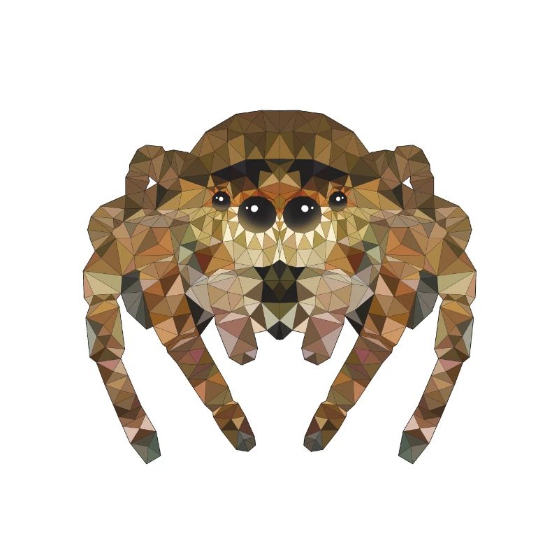 Polygone Araignée Araignées Insectes Animaux de compagnie Enfants