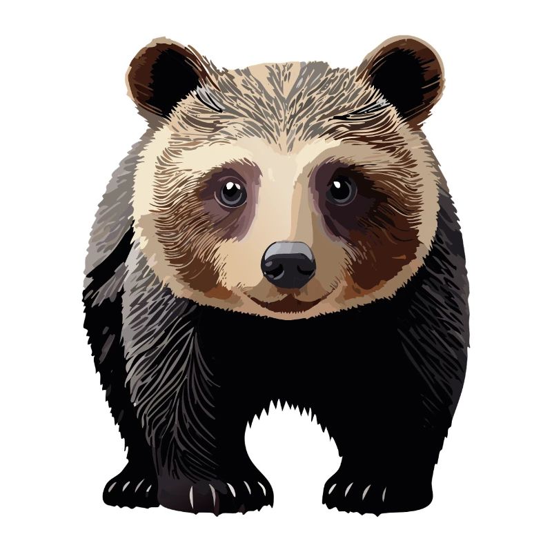 Young bear