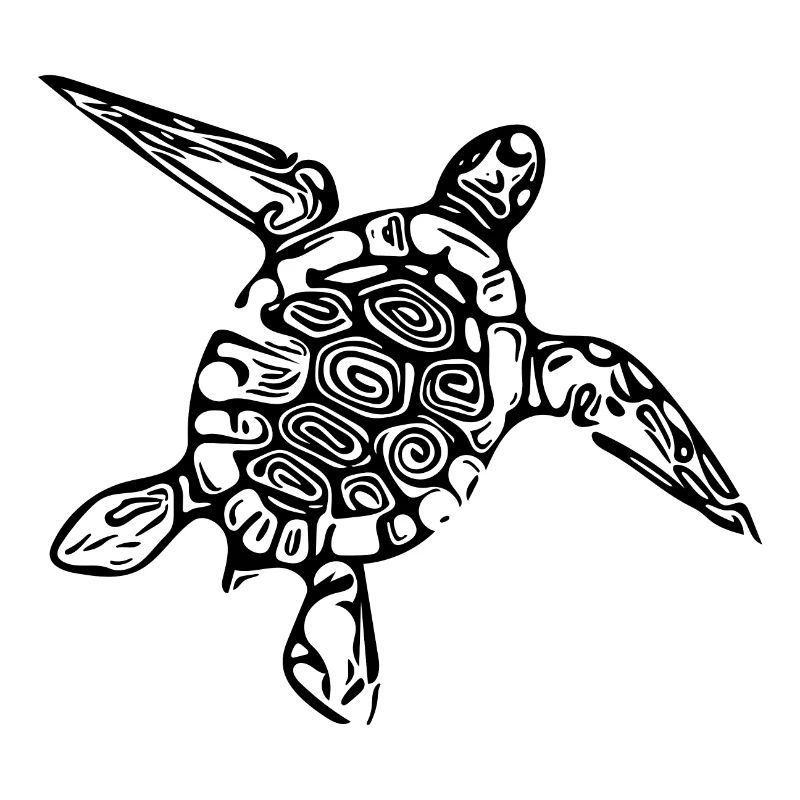Little cute turtle
