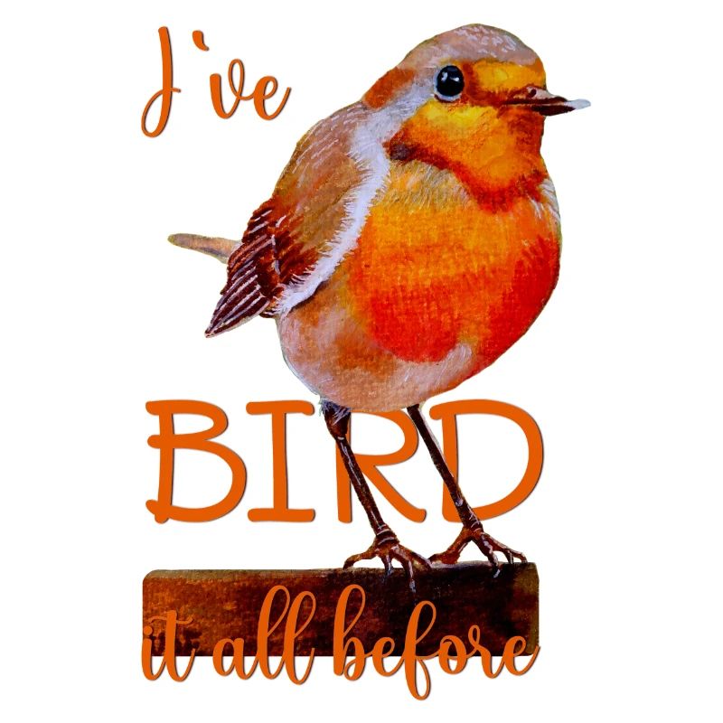 Robin cute bird Bird it all before