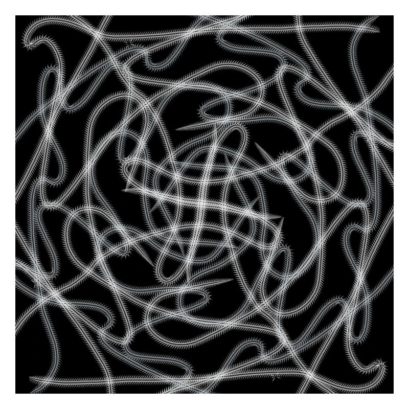 Schwarz-Weiß-Abstraktes Design