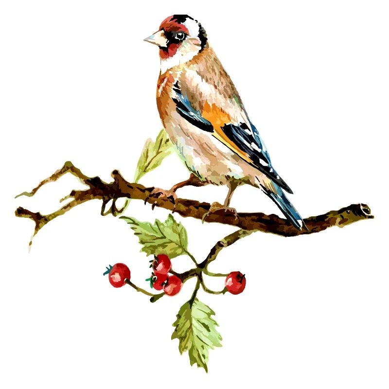 Bunter Vogel