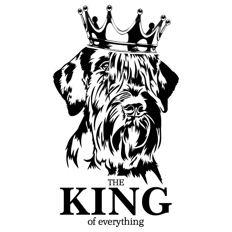 Schnauzer géant roi de tout chiens Wilsigns