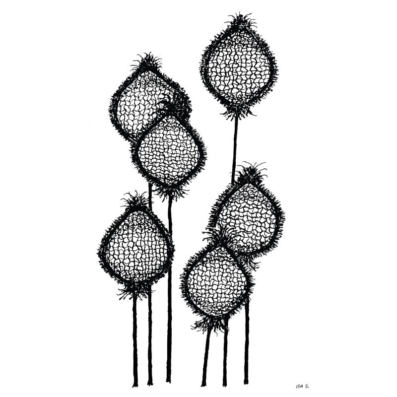 Mohnknospen oder Ananas am Stiel? Schwarz abstrakt