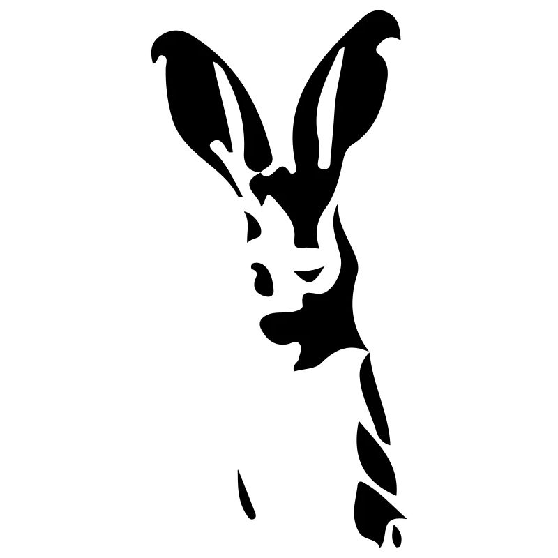 Hase