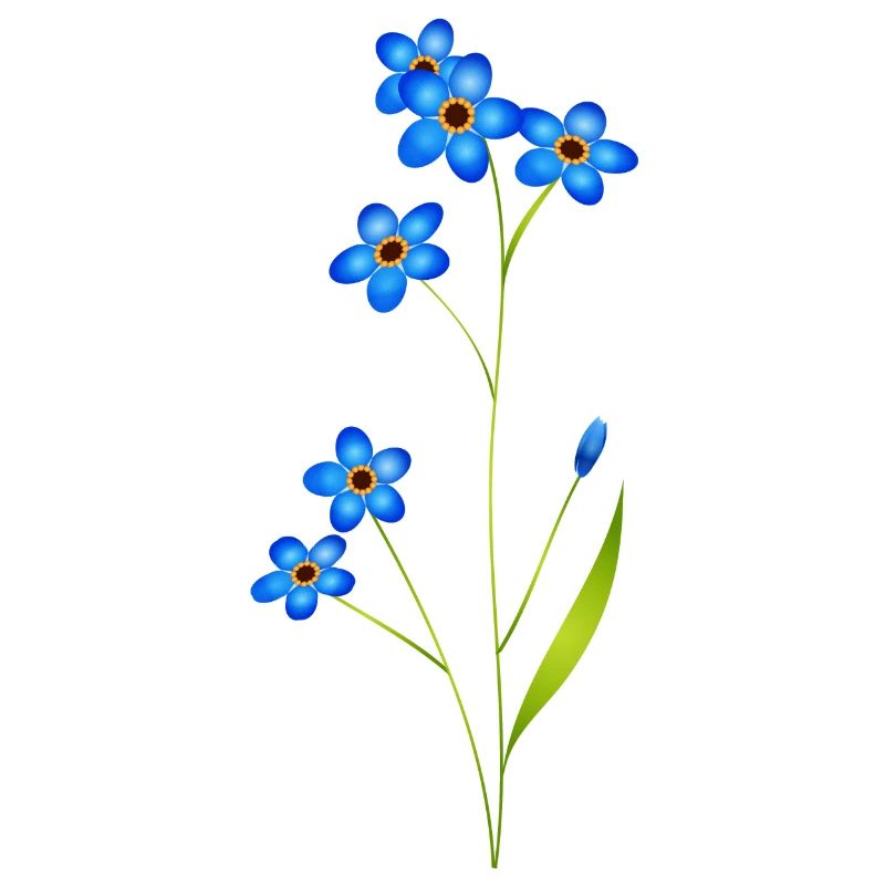 delicate forget-me-not in classic blue