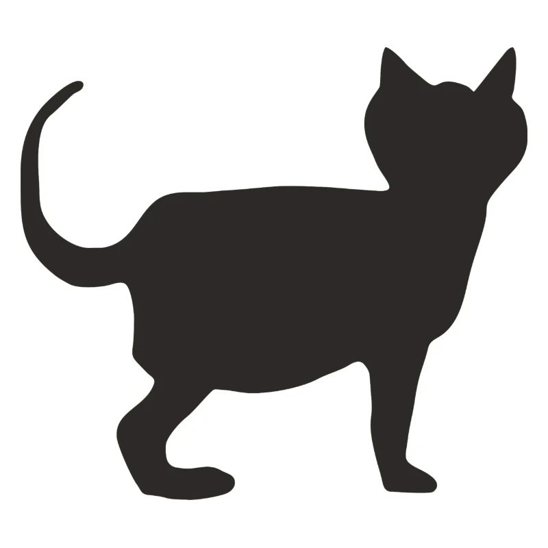 Chat Noir