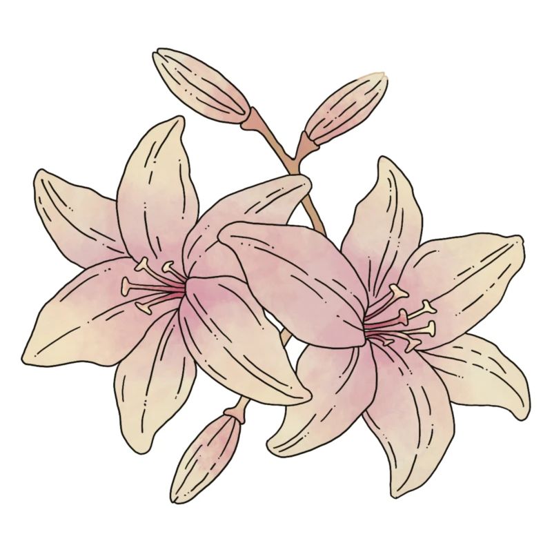 Fleurs de lys