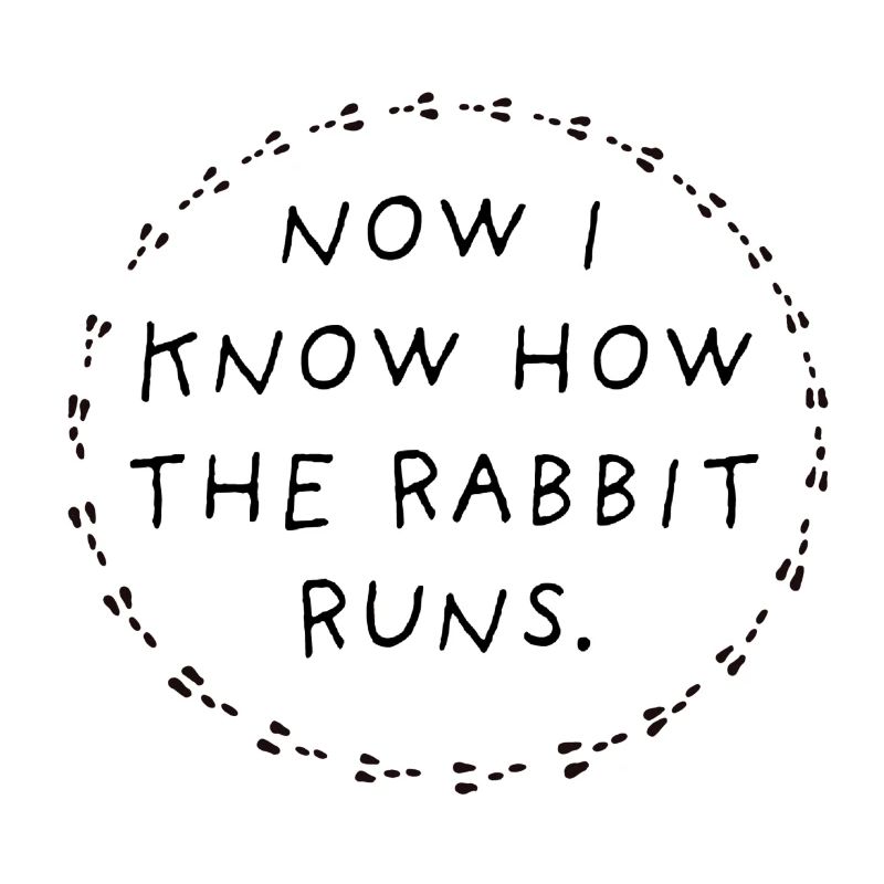 Now I know how the rabbit runs.