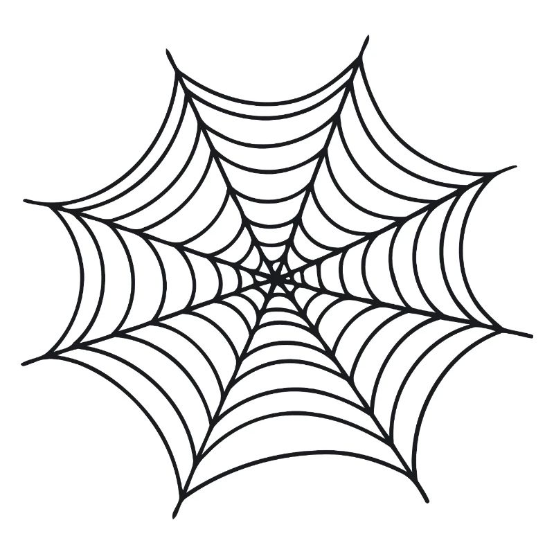 Black Minimalist Spider Web